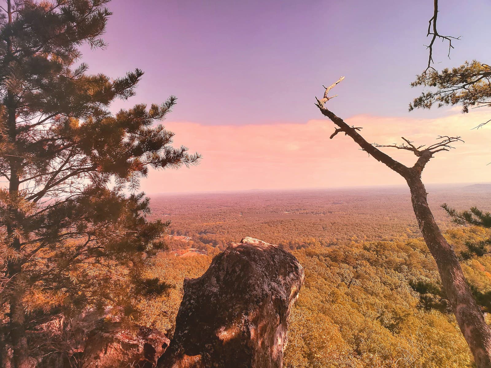Sunset view from rocky overlook with trees silhouetted against colorful sky above vast forest landscape
