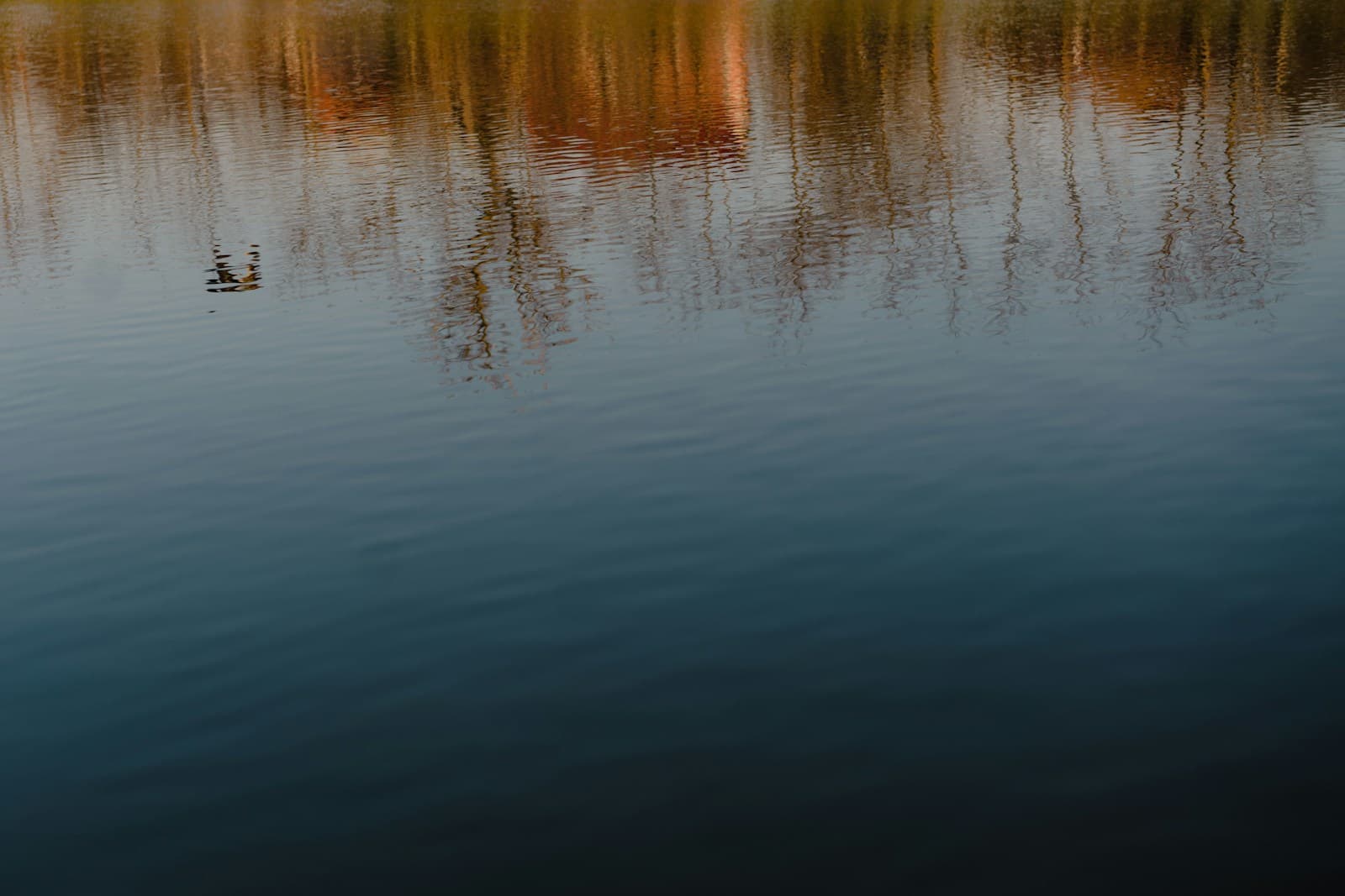 Calm lake water reflecting autumn trees with golden foliage, creating mirror-like reflections on blue water surface